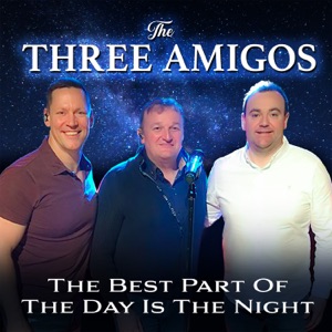 The Best Part of the Day Is the Night - Single