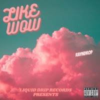 Like Wow - Single - RaynDrop