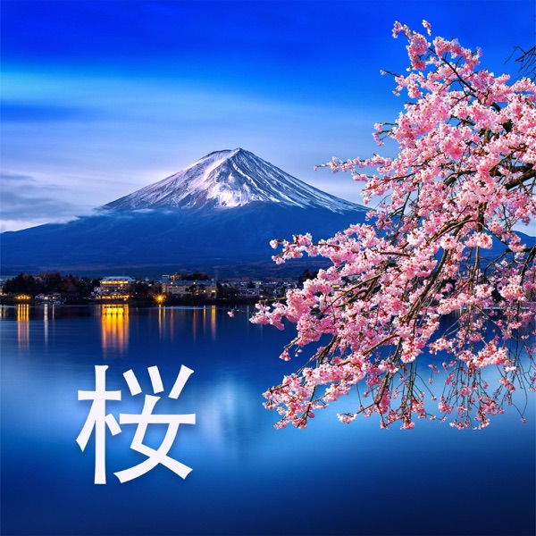 桜: 笛で奏でる日本の春