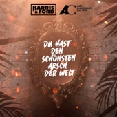Du hast den schönsten A***h der Welt (Extended Mix) [feat. Yass] artwork