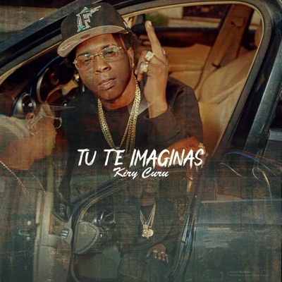 Tu Te Imaginas - Single