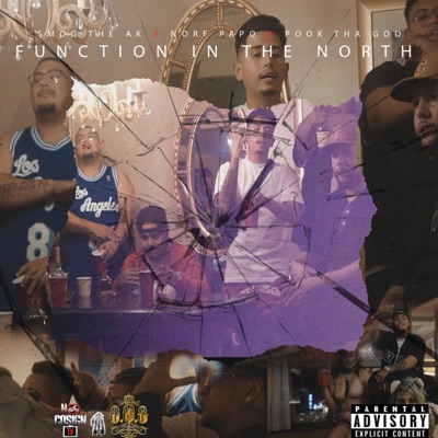 Function In the North (feat. Pook Tha God & Norf Papo) - Single