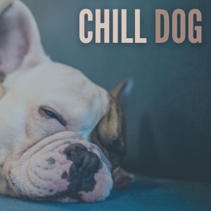 Chill Dog