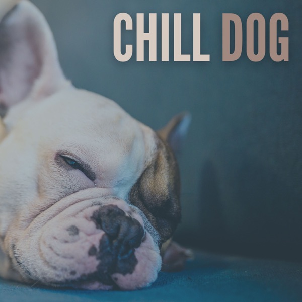 Chill Dog