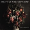Death of a Hummingbird