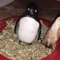 Flush (feat. Cris Zativa) - Single - Guz MX