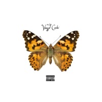 R. I. P. Vanessa Cardui - Single - Yoozy & GN savior