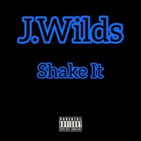 Shake It - Single - J.Wilds