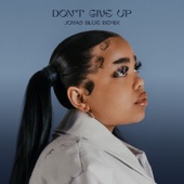 Don't Give Up (Jonas Blue Remix) artwork