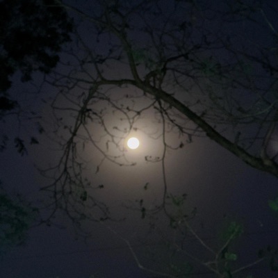 Nasheed Ya Adheeman (feat. Arian opu)