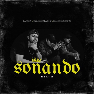 Soñando (feat. Tremendo Latino & Izan MalosPasos) [Remix] - Single