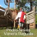 Vanera Baguala