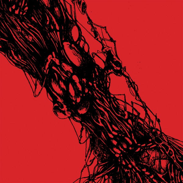Spine Mirror Bonus Tracks - Single