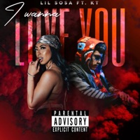 I Wanna Love You (feat. K.T.) - Single - Lil Sosa