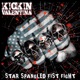 STAR SPANGLED FIST FIGHT cover art