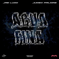 AGUA FINA (feat. Jumex Palmas) - Single - Jae Lugo