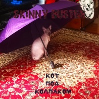 Кот под колпаком - Single - Skinny Buster