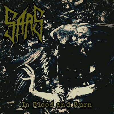 In Blood and Burn - Single