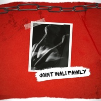 Joint Wali Family (feat. Balaj) - Single - Rixhi