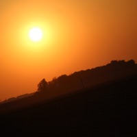 A Lonely Tortured Artist - Single - EazyOutsider