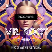 Sombrita (Mr. Root Extended Remix) artwork