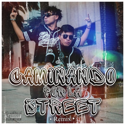 Caminando por la Street 2 (feat. Keyjors) - Single