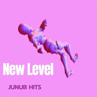 New Level (feat. Money Maniac) - Single - JUNUB Hits