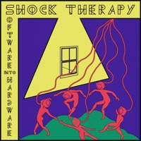Album cover for Web by Shock Therapy