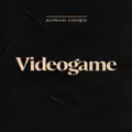 Videogame