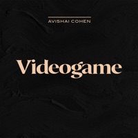 Videogame - Single - Avishai Cohen