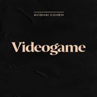 Videogame — Avishai Cohen