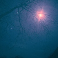 shades of you - Single - leapyear & Saraphina Echoes