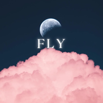 Fly - Single