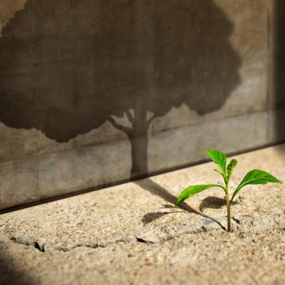 Start It Over (feat. EEWA) - Single