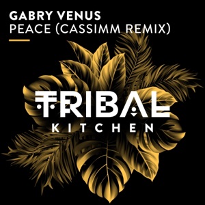 Peace (CASSIMM Remix) - Single