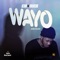Wayo - Icon & Mercie lyrics