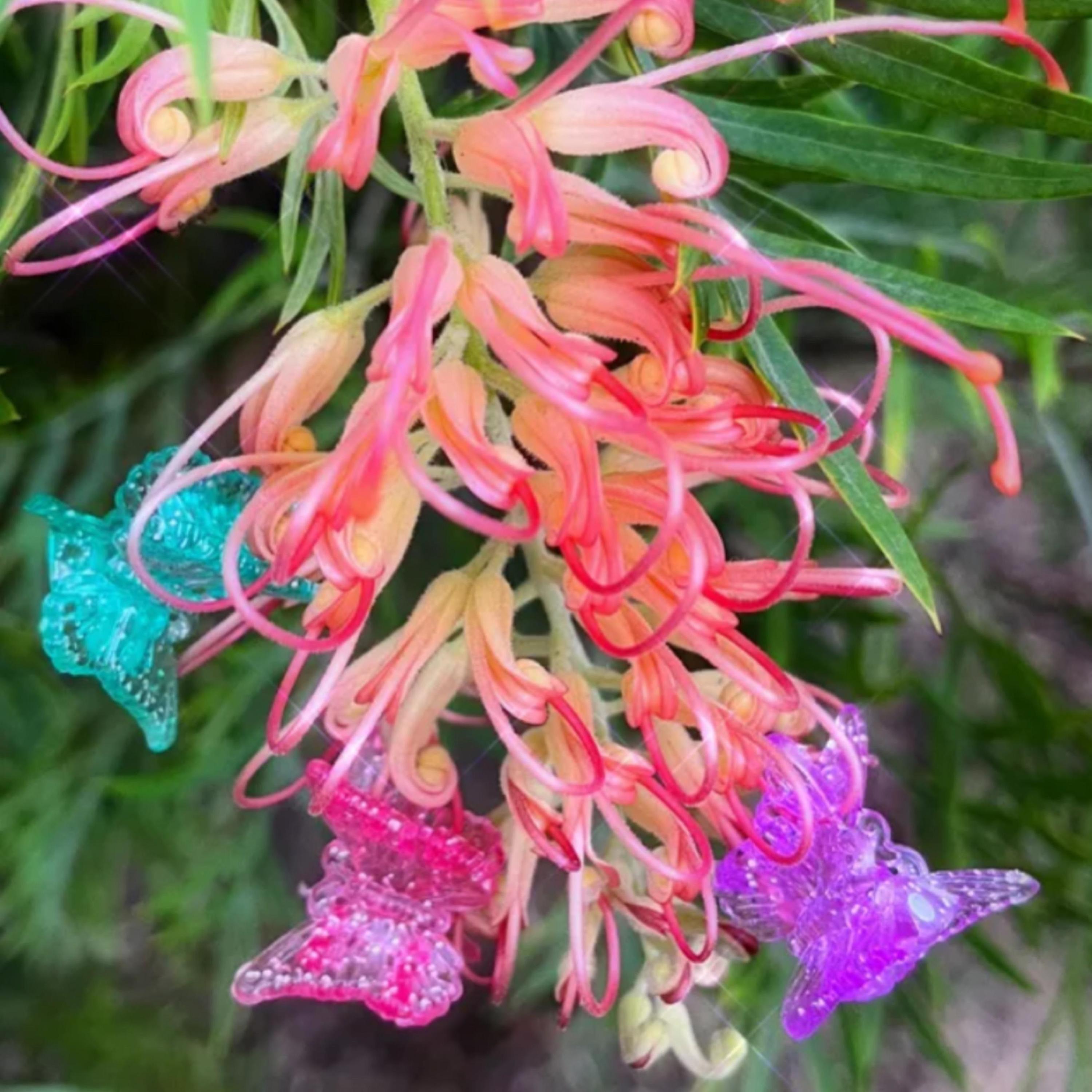 butterfly clips - Single