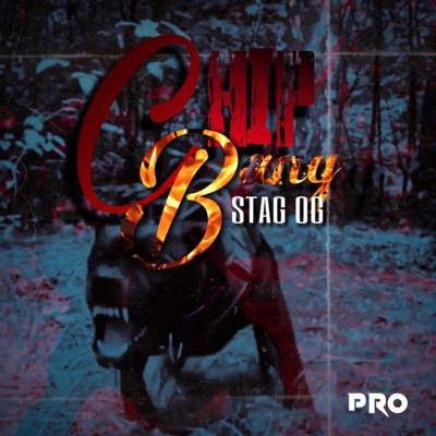 Chip Bang - Single