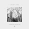 Resurrecting (feat. The Walls Group) - Elevation Collective lyrics