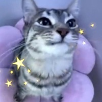 Finally Breathe! (feat. bedframe) - Single - ihazd3mons