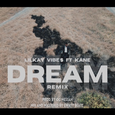 DREAM (feat. Kane Manuel) [REMIX] [REMIX] - Single