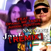 Jauhojengi (feat. Pentton, MF Taste, Juhani & Opaali) [Remix] artwork