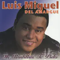 Bala Perdida — Luis Miguel del Amargue