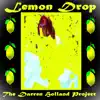 The Darren Holland Project - Lemon Drop
