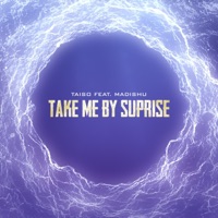 Take me by suprise (feat. Madishu) - Single - Taiso