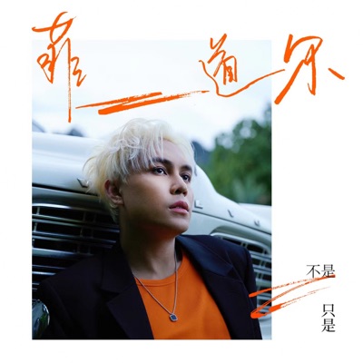 不是只是 - Single
