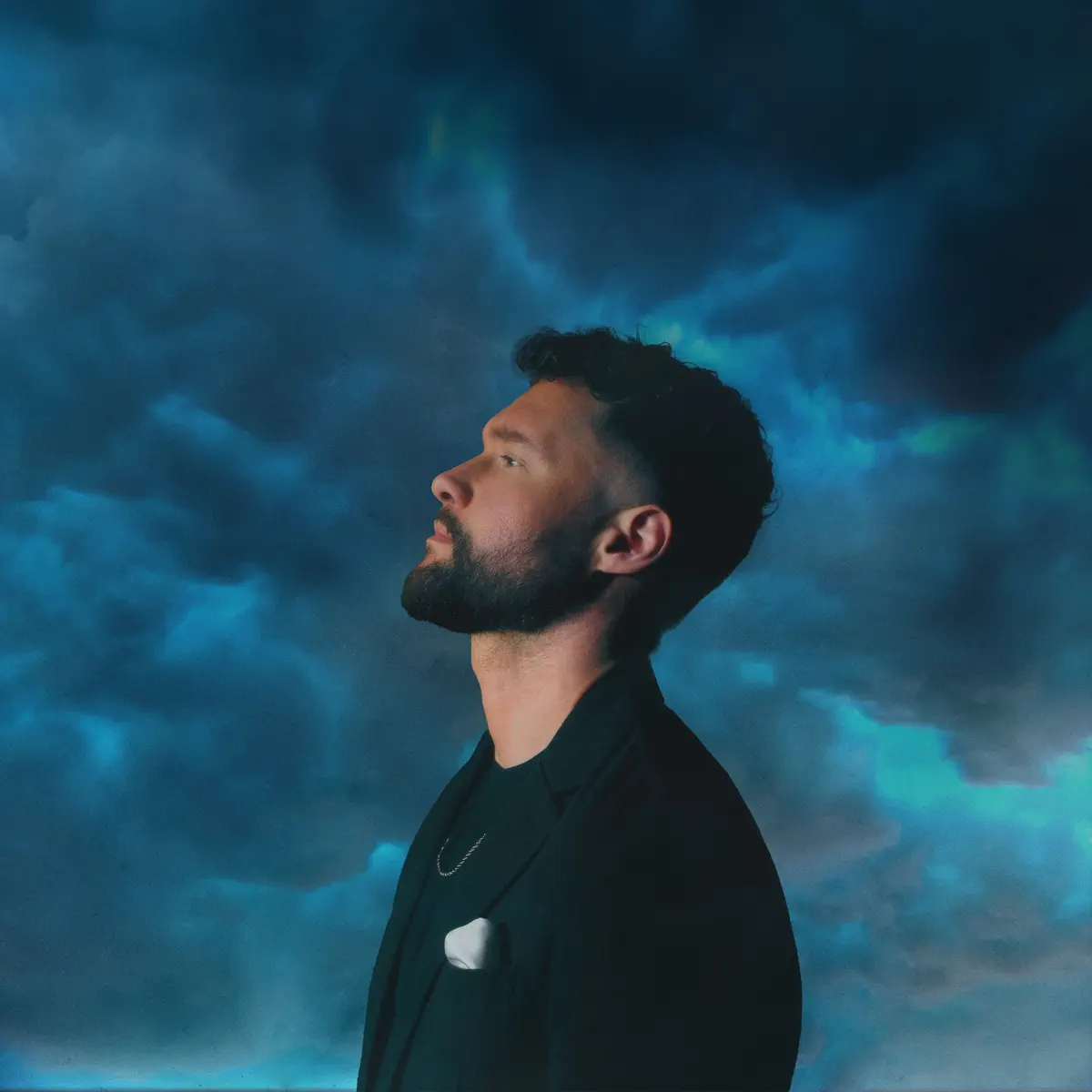 Calum Scott - Lighthouse - Single (2024) [iTunes Plus AAC M4A]-新房子