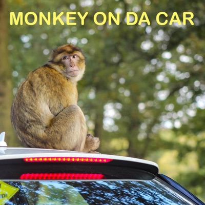 Monkey On Da Car - Single