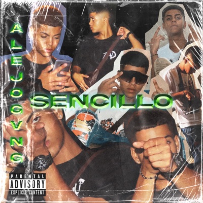 Sencillo - Single