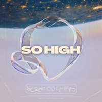 So High (The Remixes) - EP - Mozarting & Slothy